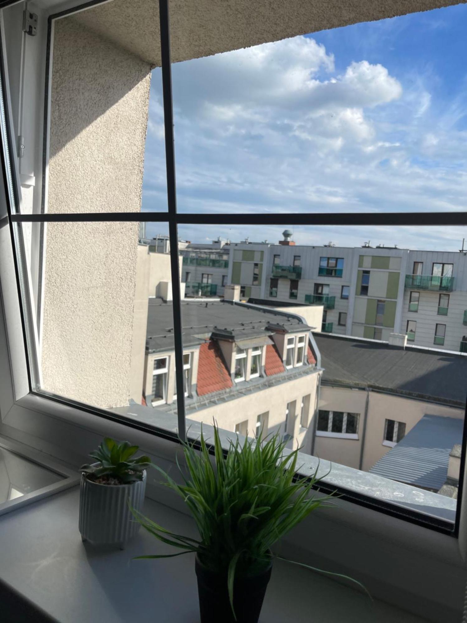 Komfortowe Mieszkanie Blisko Parku * Poznan